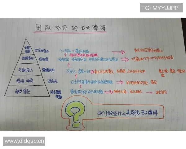成都飞盘队团队协作表现的数据分析与提升策略探讨
